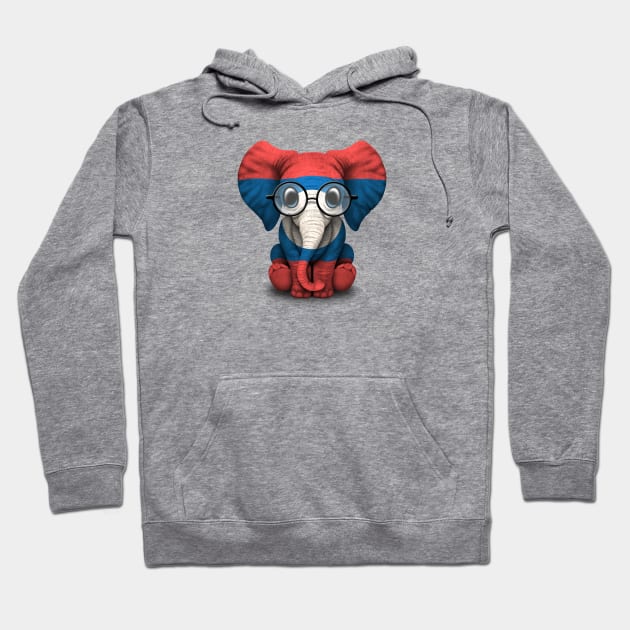 Baby Elephant with Glasses and Laotian Flag Hoodie by jeffbartels